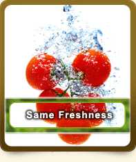 fruit processing equipments